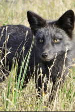 Imagen de Jara y sedal (T25/26): Antes del incendio - 4