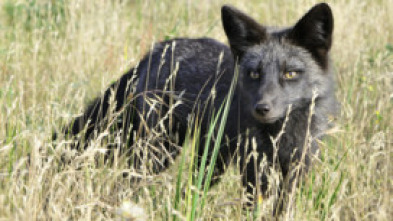 Imagen de Jara y Sedal - 5