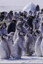 Imagen de Planeta hostil: Océanos - 6