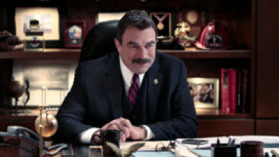 Imagen de Blue Bloods... (T4): Ep.3 Servir y proteger - 5