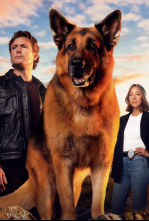 Imagen de Hudson y Rex (T7): Ep.6 Muerte Entre Abejas - 6