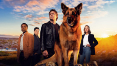 Imagen de Hudson y Rex (T7): Ep.5 Desde El Pasado - 6