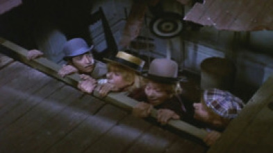 Imagen de Había una vez un circo - 5