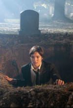 Imagen de El circo de los extraños - 4