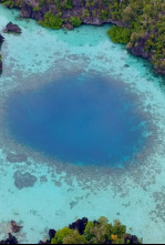 Imagen de El círculo mágico del arrecife  - 4