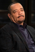 Imagen de Ley y orden:... (T22): Ep.10 Bienvenidos al Motel Pedófilo - 4