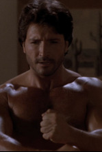 Imagen de Arma perfecta - 4