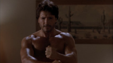 Imagen de Arma perfecta - 5