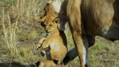 Imagen de Mara: el renacer de la...: El origen - 6