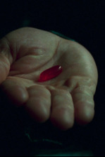 Imagen de Matrix - 4