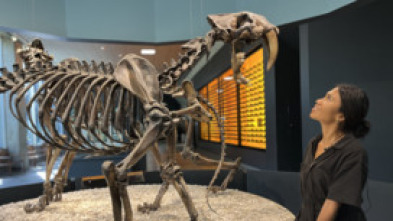 Imagen de Bestias del pasado: Basilosauros - 6