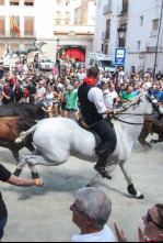 Imagen de Entrada de Bous i Cavalls de Cheste - 4