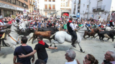 Imagen de Entrada de Bous i Cavalls de Cheste - 5