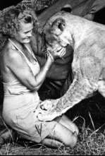 Imagen de Elsa. La leona que cambió el mundo - 4