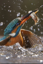 Imagen de Wye: voces desde el valle - 4