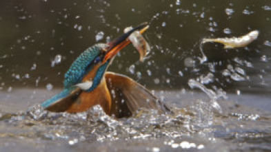 Imagen de Wye: voces desde el valle - 5