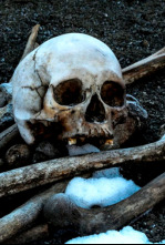 Imagen de Arqueología en el...: La peste de la Edad de Piedra - 4