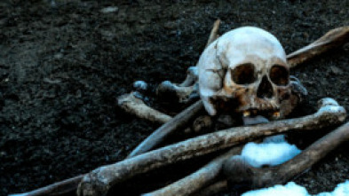 Imagen de Arqueología en el...: Secretos del abismo antártico - 5