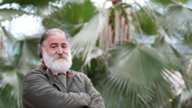 Imagen de El arcón - 5