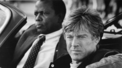 Imagen de Los fisgones - 5