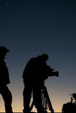 Imagen de Osos andinos: Sombras del bosque - 4