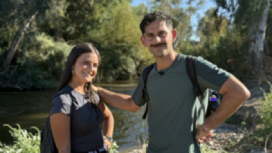 Imagen de Dónde andas - 5