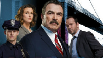 Imagen de Blue Bloods... (T5): Ep.1 Compañeros - 5
