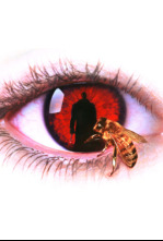 Imagen de Candyman. El dominio de la mente - 4