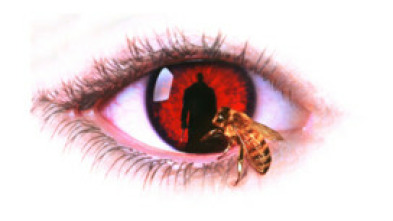 Imagen de Candyman. El dominio de la mente - 5