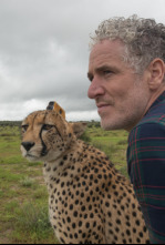 Imagen de Animales con cámaras: Ep.1 - 4