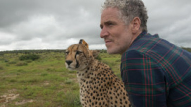 Imagen de Animales con cámaras  - 5