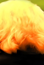 Imagen de Señora de... - 4