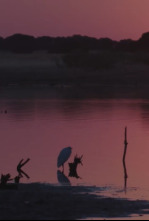 Imagen de Dehesa - 4