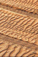 Imagen de Extreme E: Desert... (2025): Carrera 2 - 4