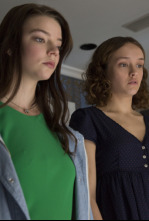 Imagen de Purasangre - 4