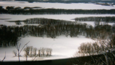 Imagen de Especial Mississippi salvaje - 7