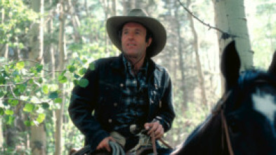 Imagen de Llega un jinete libre y salvaje - 5