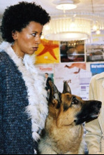 Imagen de Rex, un policía... (T14): Ep.8 Todo en una noche - 4