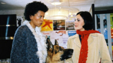 Imagen de Rex, un policía... (T14): Ep.8 Todo en una noche - 5