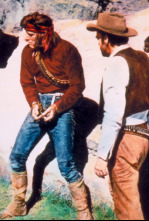 Imagen de Apache - 4