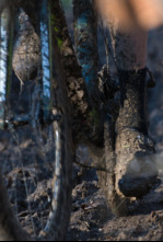 Imagen de Copa del mundo de... (25/26): Carrera F - 4