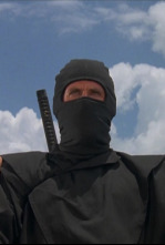 Imagen de El guerrero americano - 4