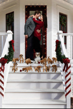 Imagen de Encontrando el amor en Navidad - 4