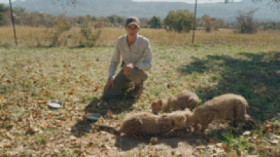 Imagen de Dra. Fabiola Jones (T1) - 5