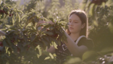 Imagen de Cultivo talento - 5