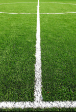 Imagen de Copa del Rey (85/86): Barcelona-Zaragoza - 4