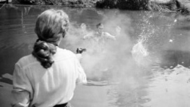 Imagen de Dinero, mujeres y armas - 5