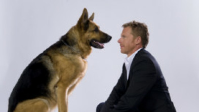 Imagen de Rex, un policía... (T11): Ep.4 Aprendiendo arte - 5