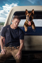 Imagen de Dog. Un viaje salvaje - 4