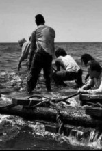 Imagen de El ventre del mar - 4